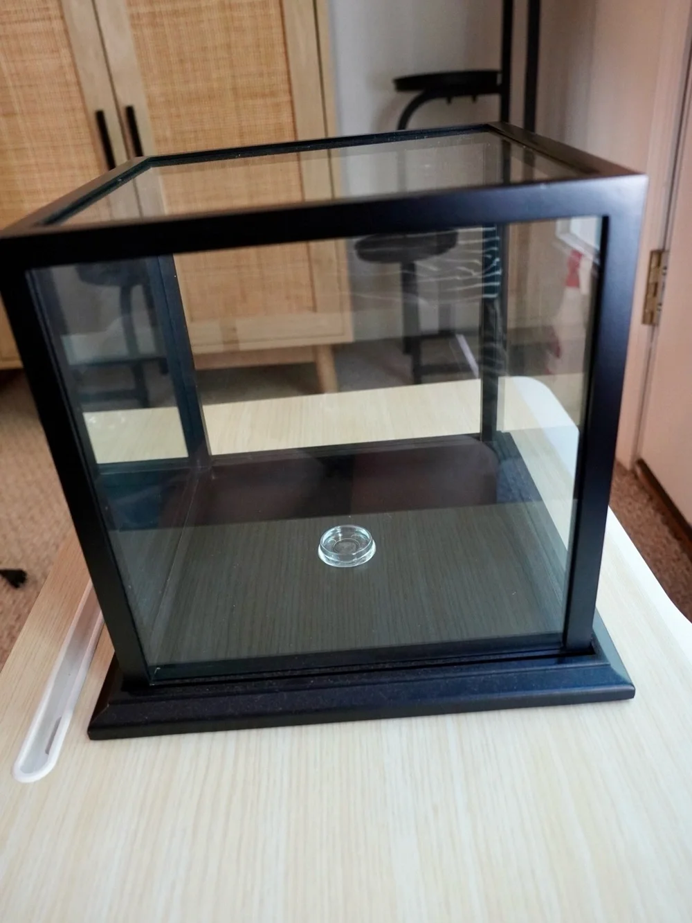Black Glass Basketball Display Case with Wooden Base